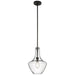 42141OZCS Lighting/Ceiling Lights/Pendants