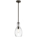 42456OZCLR Lighting/Ceiling Lights/Pendants