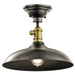 42580OZ Lighting/Ceiling Lights/Pendants