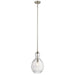 43953NI Lighting/Ceiling Lights/Pendants