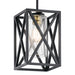 44083BK Lighting/Ceiling Lights/Pendants