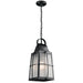 49556BKT Lighting/Outdoor Lighting/Outdoor Pendants