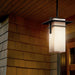 49640OZ Lighting/Outdoor Lighting/Outdoor Pendants