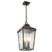49740OZ Lighting/Outdoor Lighting/Outdoor Pendants