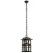 49833OZ Lighting/Outdoor Lighting/Outdoor Pendants