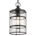 49964AVI Lighting/Outdoor Lighting/Outdoor Pendants