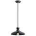 49982BKT Lighting/Outdoor Lighting/Outdoor Pendants