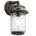 49865WZC Lighting/Outdoor Lighting/Outdoor Wall Lights