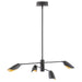 FR35804BLK Lighting/Ceiling Lights/Chandeliers