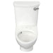 2882108.020 General Plumbing/Commercial/Commercial Toilets