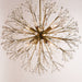 6020-AGB Lighting/Ceiling Lights/Chandeliers