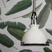 4620-WPN Lighting/Ceiling Lights/Pendants