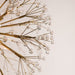 6000-AGB Lighting/Wall Lights/Sconces