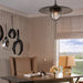 F3898-APW Lighting/Ceiling Lights/Pendants