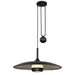 F5866-VBZ/WSL Lighting/Ceiling Lights/Pendants