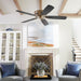 40625-80 Lighting/Ceiling Lights/Ceiling Fans