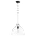8832-69 Lighting/Ceiling Lights/Pendants