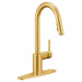 7565BG Kitchen/Kitchen Faucets/Pull Down Spray Faucets