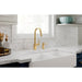 7565BG Kitchen/Kitchen Faucets/Pull Down Spray Faucets