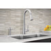 7864 Kitchen/Kitchen Faucets/Pull Down Spray Faucets