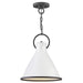 3557PT Lighting/Ceiling Lights/Pendants