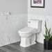 8018A60GRC.020 Bathroom/Toilets Bidets & Bidet Seats/Bidet Seats