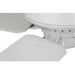 P250008-030 Lighting/Ceiling Lights/Ceiling Fans