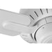 P250008-030 Lighting/Ceiling Lights/Ceiling Fans