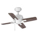 P250008-030 Lighting/Ceiling Lights/Ceiling Fans