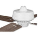 P250008-030 Lighting/Ceiling Lights/Ceiling Fans