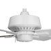 P250008-030 Lighting/Ceiling Lights/Ceiling Fans