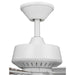 P250008-030 Lighting/Ceiling Lights/Ceiling Fans