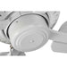 P250008-030 Lighting/Ceiling Lights/Ceiling Fans