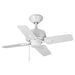 P250008-030 Lighting/Ceiling Lights/Ceiling Fans