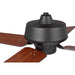 P250008-129 Lighting/Ceiling Lights/Ceiling Fans