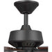 P250008-129 Lighting/Ceiling Lights/Ceiling Fans