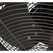 P2594-12930K Lighting/Ceiling Lights/Ceiling Fans