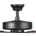 P2599-129 Lighting/Ceiling Lights/Ceiling Fans