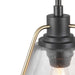 P500135-020 Lighting/Ceiling Lights/Pendants