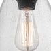 P500135-020 Lighting/Ceiling Lights/Pendants