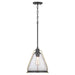 P500135-020 Lighting/Ceiling Lights/Pendants