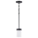 P500151-031 Lighting/Ceiling Lights/Pendants