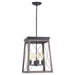 P500178-020 Lighting/Ceiling Lights/Pendants