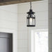 P550031-031 Lighting/Outdoor Lighting/Outdoor Pendants