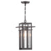 P550039-020 Lighting/Outdoor Lighting/Outdoor Pendants