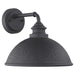 P560098-031 Lighting/Outdoor Lighting/Outdoor Wall Lights
