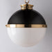 4019-ADB Lighting/Ceiling Lights/Pendants