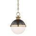 4019-ADB Lighting/Ceiling Lights/Pendants