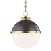 4025-ADB Lighting/Ceiling Lights/Pendants