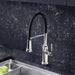 442508 Kitchen/Kitchen Faucets/Pull Down Spray Faucets